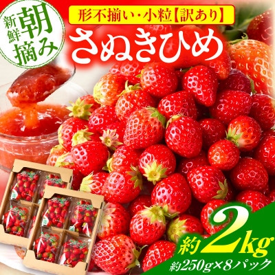 訳あり 苺音クラフト～加工用さぬきひめいちご約2kg【2027年5月配送】