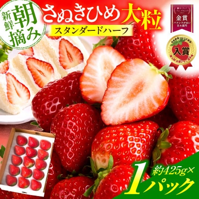 苺音スタンダードハーフ ～春の大粒のさぬきひめいちご～ 約425g【2027年3月～5月順次発送】