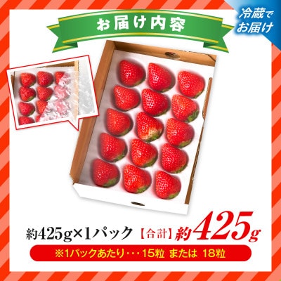 苺音スタンダードハーフ ～春の大粒のさぬきひめいちご～ 約425g【2027年3月～5月順次発送】