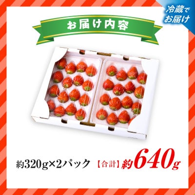 苺音エコノミーハーフ ～気軽に楽しむさぬきひめいちご～ 約640g【2027年2月～5月順次発送】