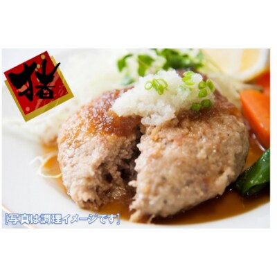 猪肉入りハンバーグ120g×5個(希少糖ソース付)