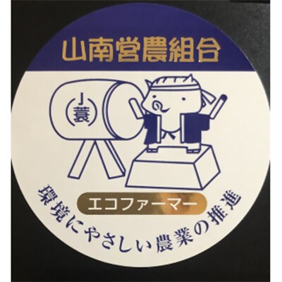 【最高級】令和5年産こしひかり 10kg【無洗米】