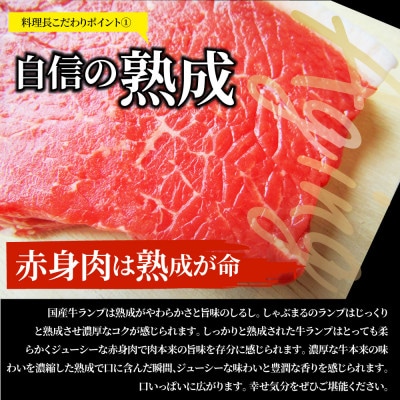 しゃぶまる特製 国産牛ランプステーキ40枚セット(150g×40枚 /合計約6kg・ステーキソース付