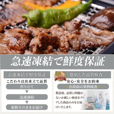 ランプ&イチボ&カルビ 希少部位 MIX焼肉 10kg(500g×20)タレ漬