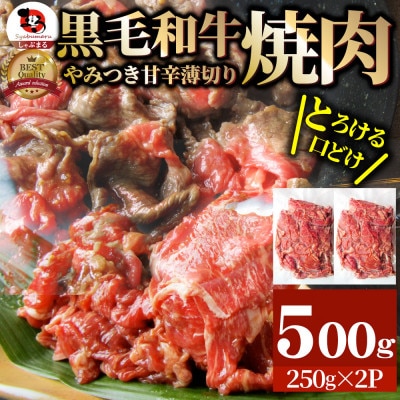 とろける黒毛和牛リッチな薄切り焼肉500g(250g×2P) 秘伝のタレ漬け