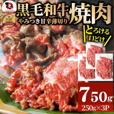 とろける黒毛和牛リッチな薄切り焼肉750g(250g×3P) 秘伝のタレ漬け