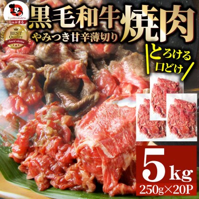 とろける黒毛和牛リッチな薄切り焼肉5kg(250g×20P) 秘伝のタレ漬け