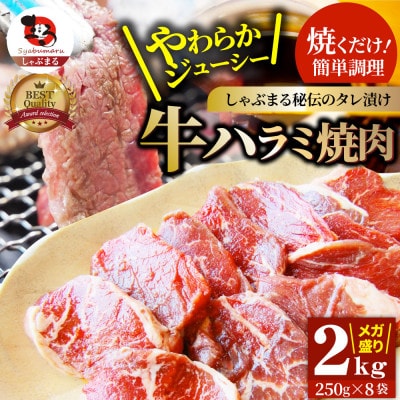 やわらか牛ハラミ焼肉 秘伝のタレ漬け2kg(250g×8P)