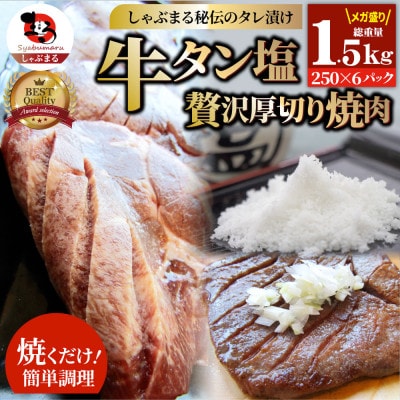 牛タン焼肉 秘伝の塩ダレ漬け 総重量 1.5kg(250g×6)《専門店の味》