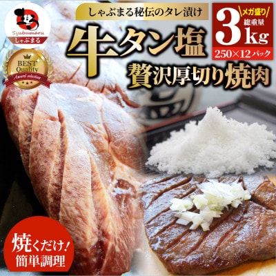 牛タン焼肉 秘伝の塩ダレ漬け 総重量 3kg(250g×12)《専門店の味》