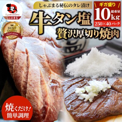 牛タン焼肉 秘伝の塩ダレ漬け 総重量 10kg(250g×40)《専門店の味》