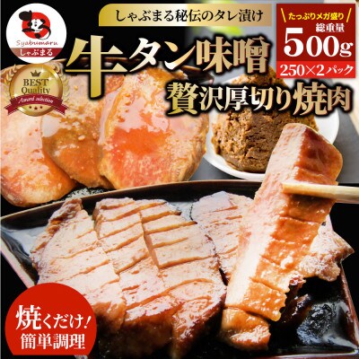 牛タン焼肉 秘伝の味噌漬け 500g(250g×2)《焼くだけ簡単専門店の味》