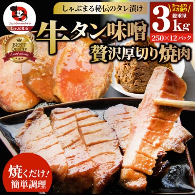 牛タン焼肉 秘伝の味噌漬け 3kg(250g×12)《焼くだけ簡単専門店の味》
