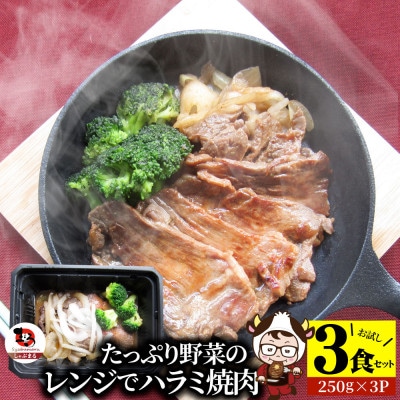 レンジで簡単ハラミ焼肉 250g×3食セット (総重量750g)野菜入り