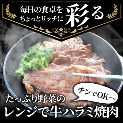 レンジで簡単ハラミ焼肉 250g×10食セット (総重量2.5kg)野菜入り