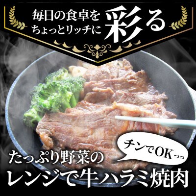 レンジで簡単ハラミ焼肉 250g×20食セット (総重量5kg)野菜入り