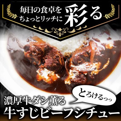 牛すじ ビーフシチュー 200g×30食セット (総重量6kg)