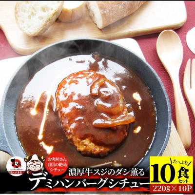ハンバーグデミシチュー 220g×10食セット (総重量2.2kg)