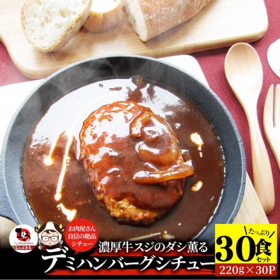 ハンバーグデミシチュー 220g×30食セット (総重量6.6kg)
