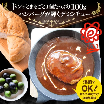 ハンバーグデミシチュー 220g×30食セット (総重量6.6kg)
