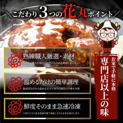 ハンバーグデミシチュー 220g×30食セット (総重量6.6kg)
