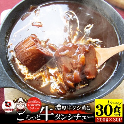 ゴロッと牛タン ビーフシチュー 200g×30食セット (総重量6kg)