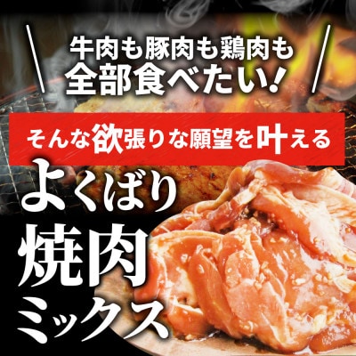 牛豚鶏 スタミナ ミックス焼肉 3kg盛り 秘伝のタレ漬け