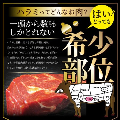 贅沢赤身 牛ハラミステーキ 30枚セット(合計7.5kg) 厚切り 秘伝のタレ漬け