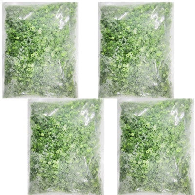 藤澤さんが丹精込めて作った 便利な冷凍 カットねぎ2kg(500g×4)