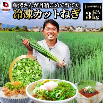 藤澤さんが丹精込めて作った 便利な冷凍 カットねぎ3kg(500g×6)