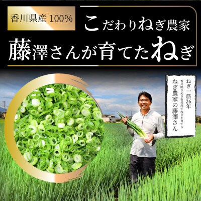 藤澤さんが丹精込めて作った 便利な冷凍 カットねぎ5kg(500g×10)