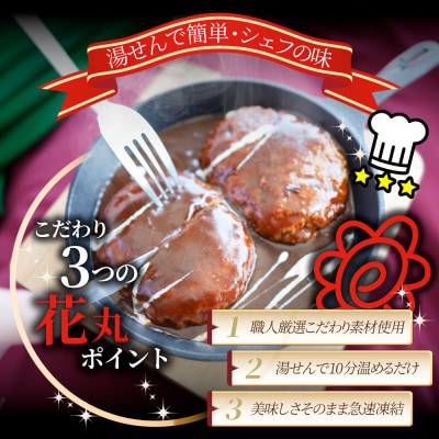 鉄板焼き 煮込みハンバーグ 濃厚デミグラスソース 20食セット