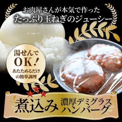 鉄板焼き 煮込みハンバーグ 濃厚デミグラスソース 50食セット