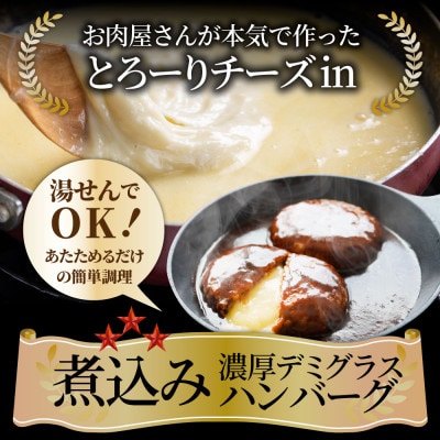 鉄板焼き チーズイン 煮込みハンバーグ 濃厚デミグラスソース 20食セット
