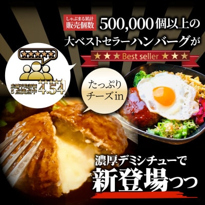 チーズイン ハンバーグシチュー 濃厚デミグラスソース 10食セット