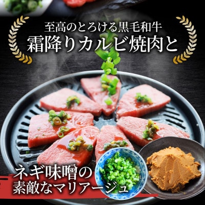 A4,A5等級 黒毛和牛 カルビ焼肉 ネギまみれ 《旨辛味噌ダレ》 7.5kg