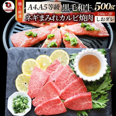 A4,A5等級 黒毛和牛 カルビ焼肉 ネギまみれ 《うまみ塩ダレ》500g