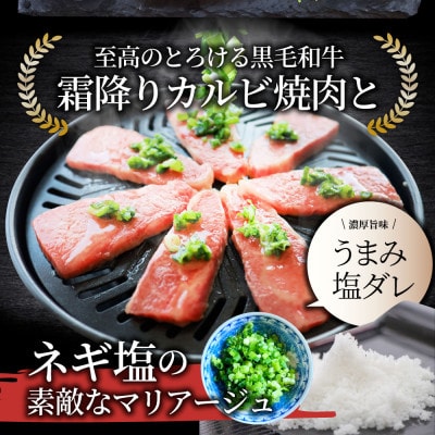 A4,A5等級 黒毛和牛 カルビ焼肉 ネギまみれ 《うまみ塩ダレ》500g