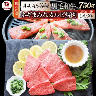 A4,A5等級 黒毛和牛 カルビ焼肉 ネギまみれ 《うまみ塩ダレ》750g