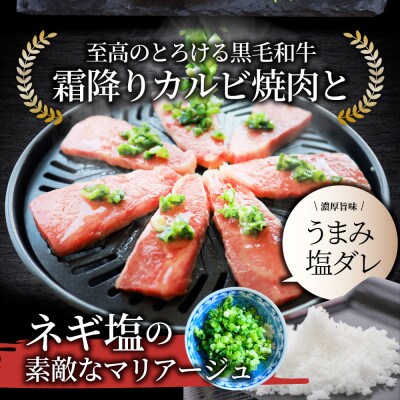 A4,A5等級 黒毛和牛 カルビ焼肉 ネギまみれ 《うまみ塩ダレ》1kg