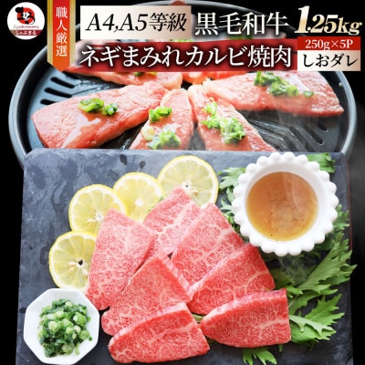 A4,A5等級 黒毛和牛 カルビ焼肉 ネギまみれ 《うまみ塩ダレ》1250g