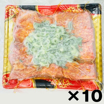 A4,A5等級 黒毛和牛 カルビ焼肉 ネギまみれ 《うまみ塩ダレ》2.5kg