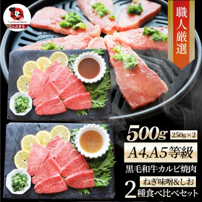 A4,A5等級 黒毛和牛 カルビ焼肉 ネギまみれ 《味噌&塩食べ比べ》 500g