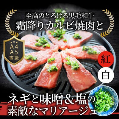 A4,A5等級 黒毛和牛 カルビ焼肉 ネギまみれ 《味噌&塩食べ比べ》 2.5kg
