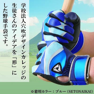【産官学共同事業】野球手袋～Kagawa Style～【SHIRAYAMA～讃岐の7富士～Lサイズ】