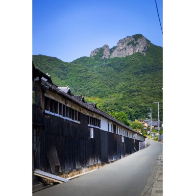 「瀬戸・たかまつネットワーク」香川県　アート島めぐり(小豆島・豊島・直島方面)　2日間