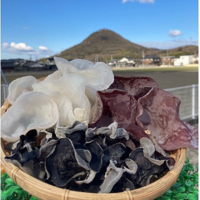 乾燥さぬきくらげ3種セット