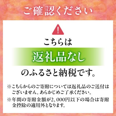 【返礼品なし】三木町への応援寄附金【2,000円】