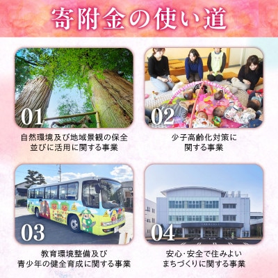 【返礼品なし】三木町への応援寄附金【2,000円】