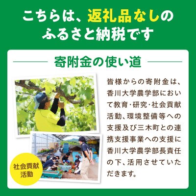 【返礼品なし】大学支援事業(香川大学農学部)10,000円